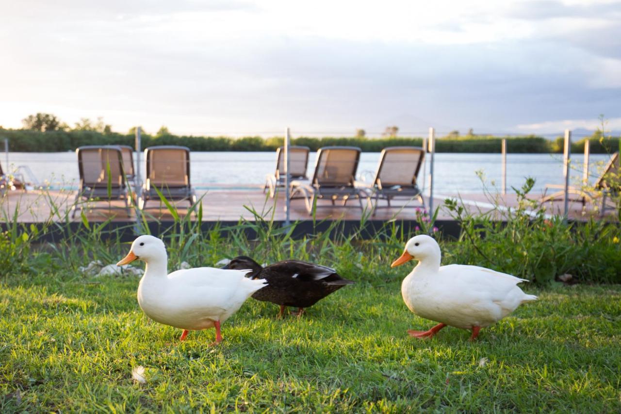 Plana Resort & Spa Кастель Вольтурно Экстерьер фото